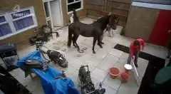 Бесстыдники (сериал 2004 – 2013) 4 сезон 2 серия